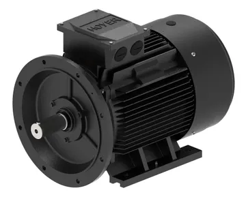 Danfoss Electrical Motor