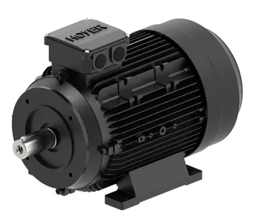 Danfoss Electrical Motor